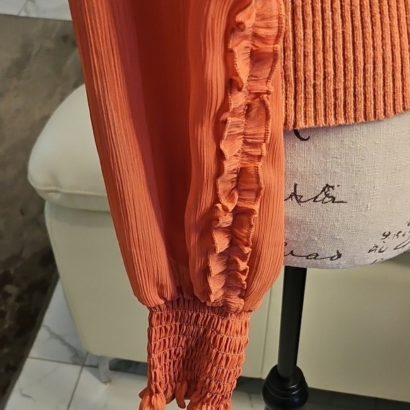 Sam Edelman Orange Ribbed Ruffled Long Sleeve Blouse - Picture 3 of 6
